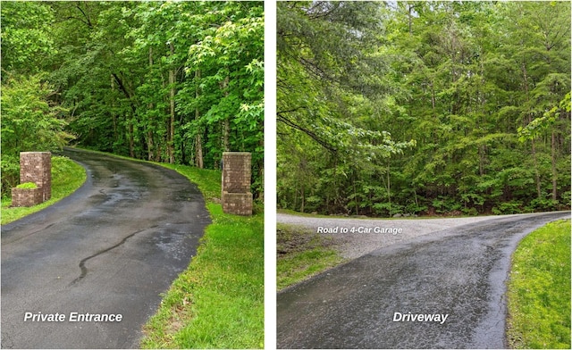 11 Saint Nicholas Way, Signal Mountain, TN 37377 - view of asphalt road with a wooded view