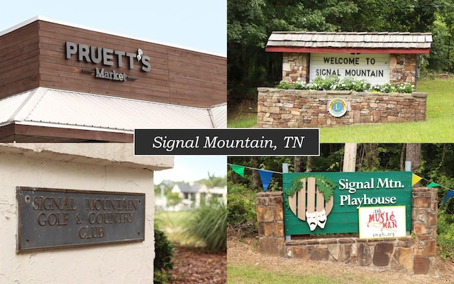 11 Saint Nicholas Way, Signal Mountain, TN 37377 - exterior view of stone siding
