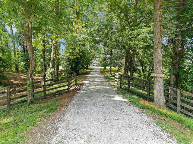 9952 Missionary Ridge Rd, Bon Aqua, TN 37025 - photo 16