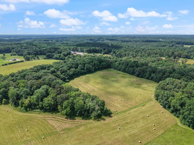 9952 Missionary Ridge Rd, Bon Aqua, TN 37025 - photo 9