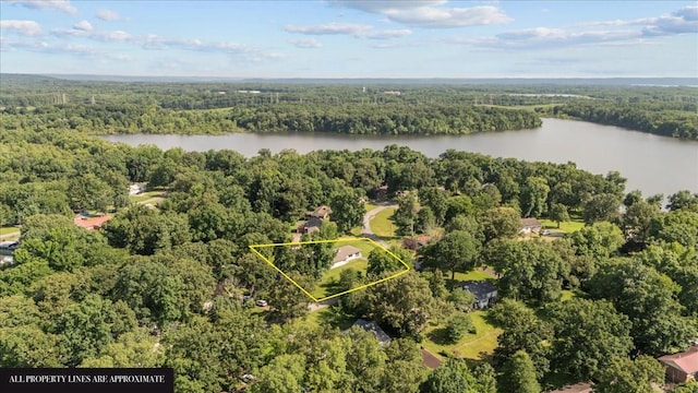 215 Sunset Dr, New Johnsonville, TN 37134 - aerial view of property and surrounding area featuring a forest and property parcel outlined