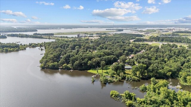 215 Sunset Dr, New Johnsonville, TN 37134 - bird's eye view of a large body of water