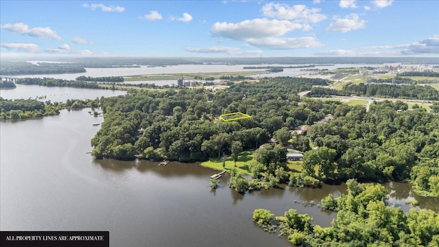 215 Sunset Dr, New Johnsonville, TN 37134 - drone / aerial view of a large body of water