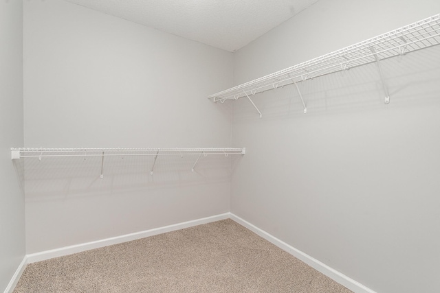 822 Sugarcane Way, Clarksville, TN 37040 - photo 22