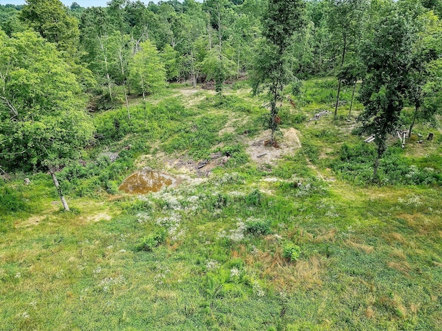 0 Red Oak Rd, Charlotte, TN 37036