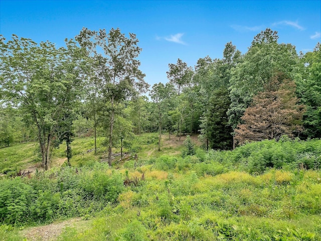 0 Red Oak Rd, Charlotte, TN 37036