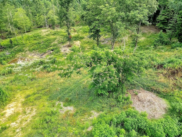 0 Red Oak Rd, Charlotte, TN 37036