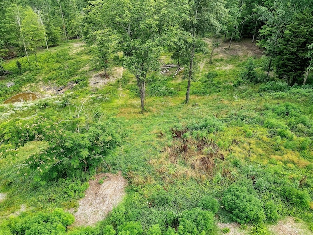 0 Red Oak Rd, Charlotte, TN 37036