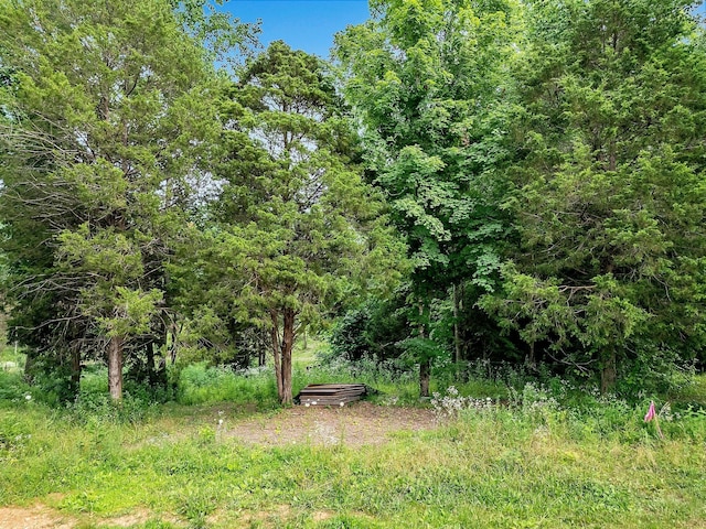 0 Red Oak Rd, Charlotte, TN 37036