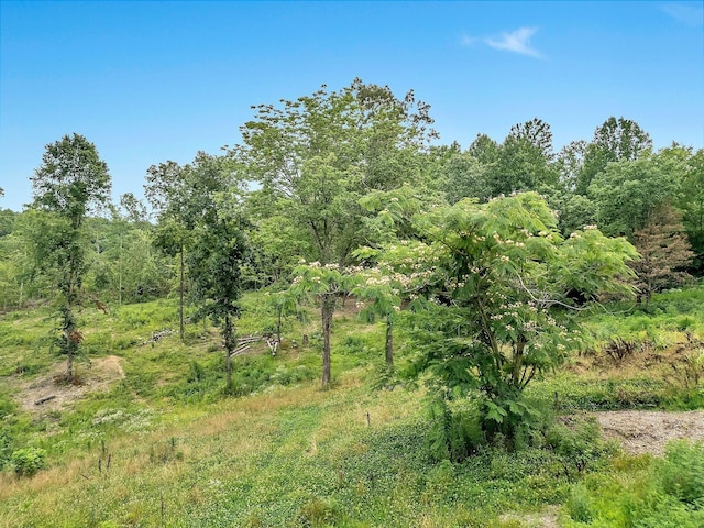 0 Red Oak Rd, Charlotte, TN 37036