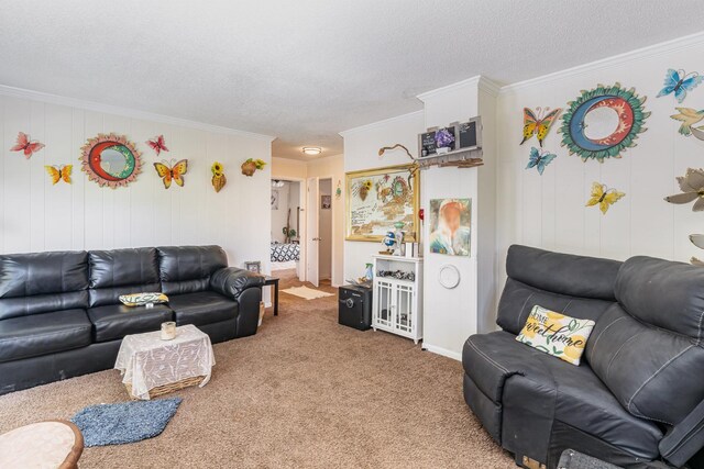 1205 Bloom Landing Rd, Charlotte, TN 37036 - living room featuring a textured ceiling, carpet floors, and ornamental molding