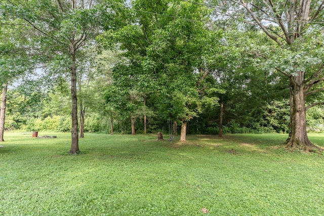 1205 Bloom Landing Rd, Charlotte, TN 37036 - view of grassy yard
