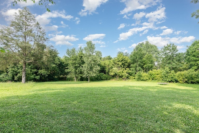 1205 Bloom Landing Rd, Charlotte, TN 37036 - view of green lawn