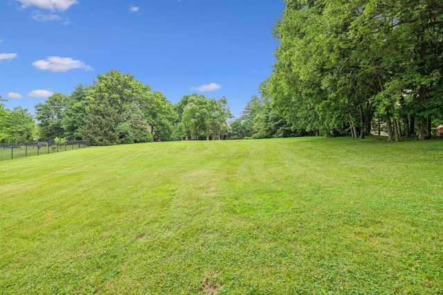 9214 Hunterboro Dr, Brentwood, TN 37027 - view of yard