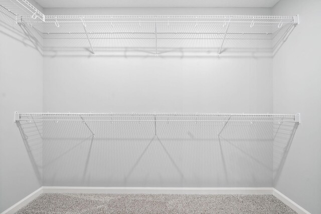 1204 Boulder Pass Rd, Clarksville, TN 37040 - spacious closet with carpet floors