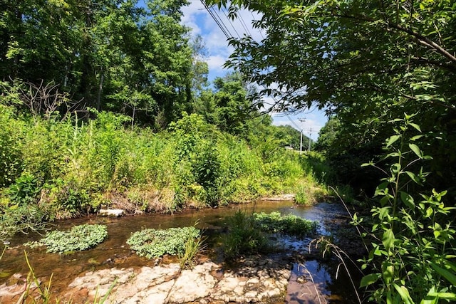 7173 New Hope Rd, Fairview, TN 37062 - view of yard
