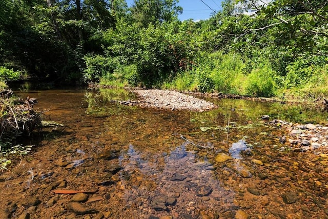 7173 New Hope Rd, Fairview, TN 37062 - water view with a heavily wooded area
