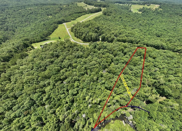 0 Hemlock Bluff Way, Deer Lodge, TN 37726