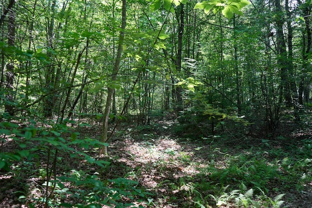 0 Hemlock Bluff Way, Deer Lodge, TN 37726