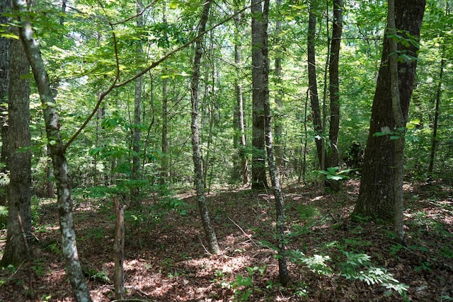 0 Hemlock Bluff Way, Deer Lodge, TN 37726