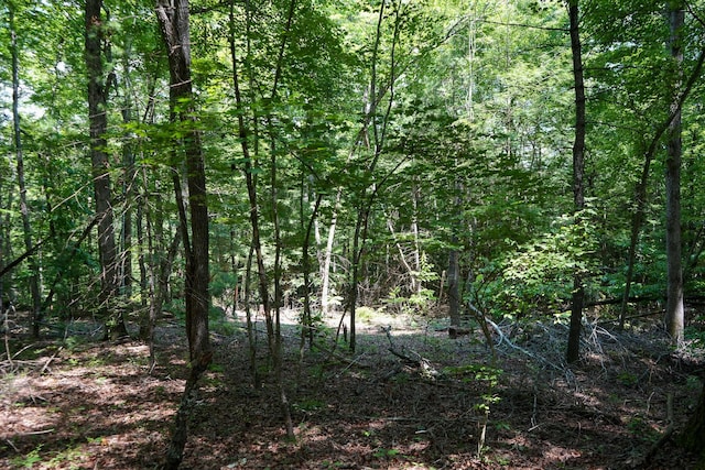 0 Hemlock Bluff Way, Deer Lodge, TN 37726