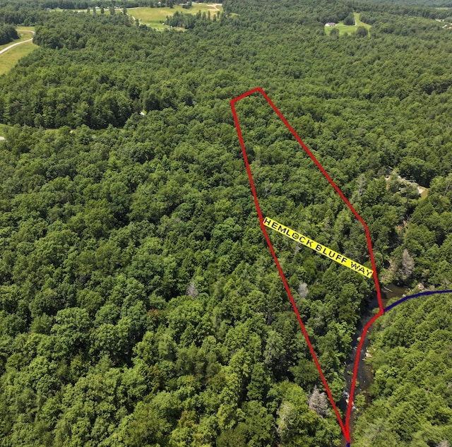 0 Hemlock Bluff Way, Deer Lodge, TN 37726