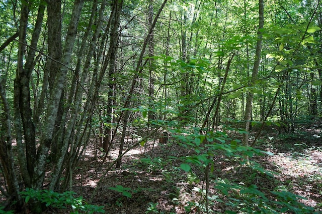 0 Hemlock Bluff Way, Deer Lodge, TN 37726