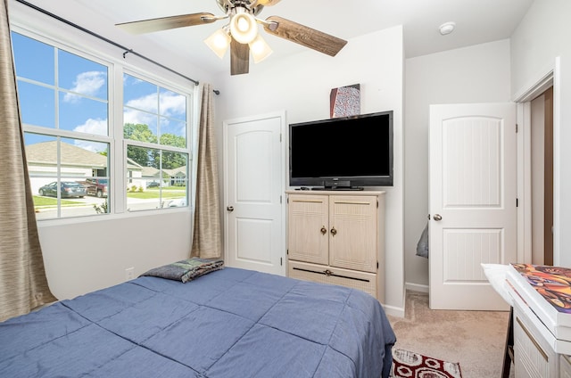 149 Olivia Cir, Chapel Hill, TN 37034 - photo 20