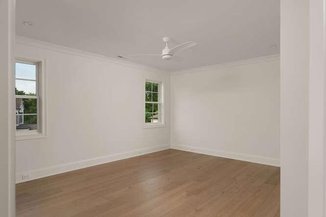 4224B Granny White Pike, Nashville, TN 37204 - photo 38