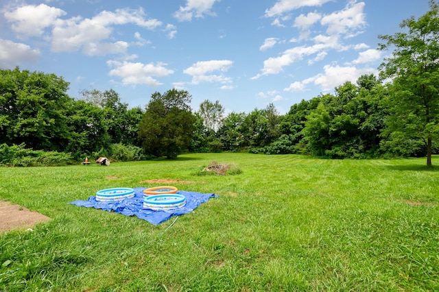 426 Dorris Rd, Portland, TN 37148 - photo 22