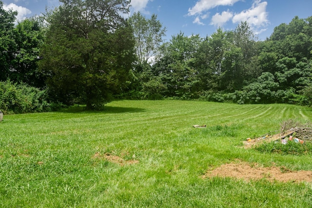 426 Dorris Rd, Portland, TN 37148 - photo 24