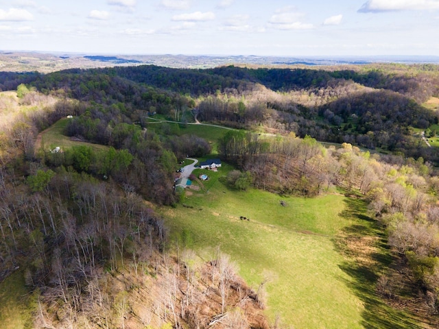 1377 Poor House Rd, Lewisburg, TN 37091 - photo 59