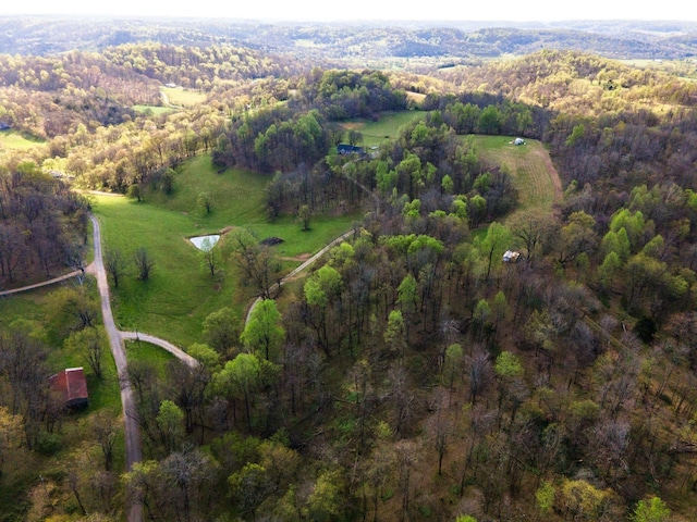 1377 Poor House Rd, Lewisburg, TN 37091 - photo 55