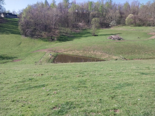 1377 Poor House Rd, Lewisburg, TN 37091 - photo 49