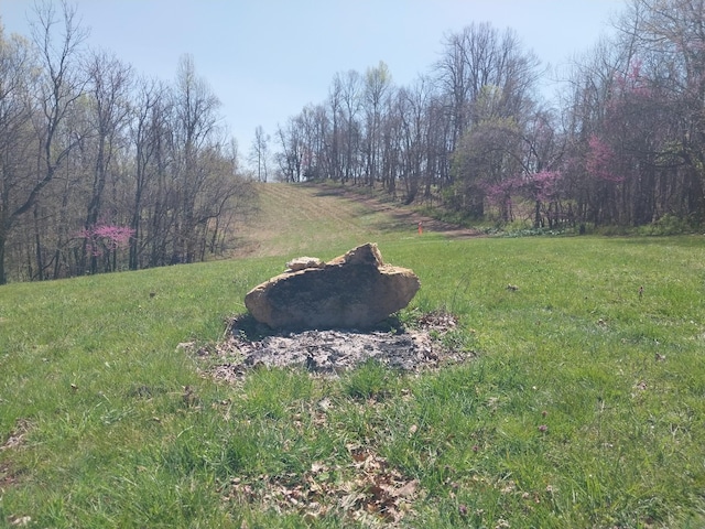 1377 Poor House Rd, Lewisburg, TN 37091 - photo 50