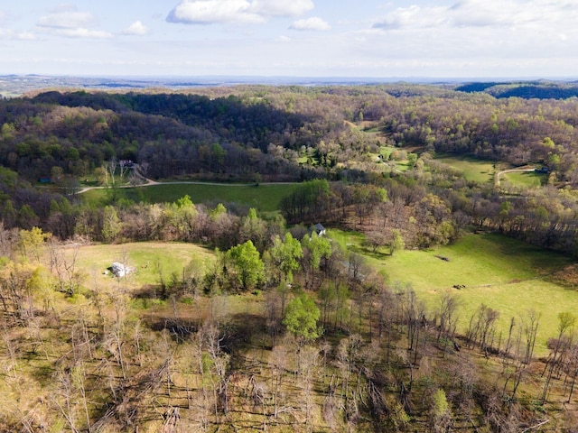 1377 Poor House Rd, Lewisburg, TN 37091 - photo 58