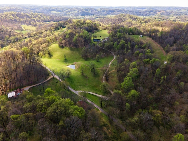 1377 Poor House Rd, Lewisburg, TN 37091 - photo 54