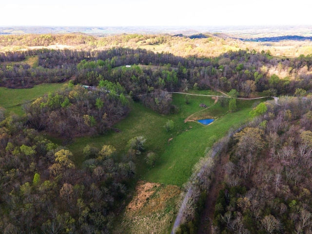 1377 Poor House Rd, Lewisburg, TN 37091 - photo 64