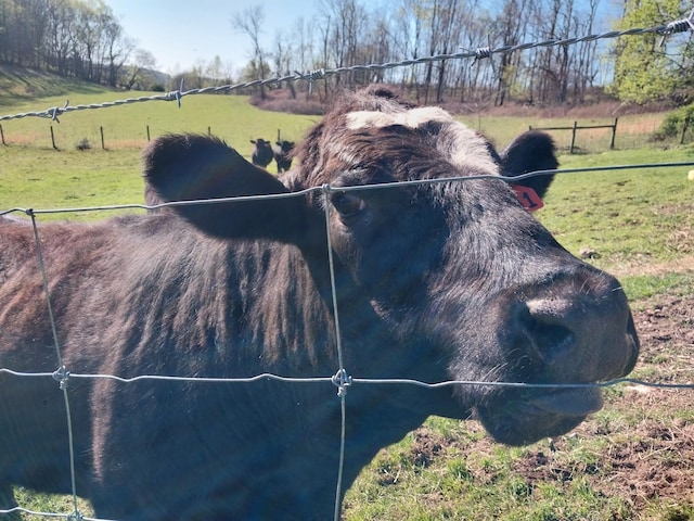 1377 Poor House Rd, Lewisburg, TN 37091 - photo 52