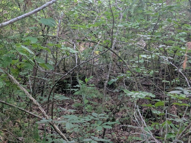 1511 Finley Beech Rd, Lewisburg, TN 37091