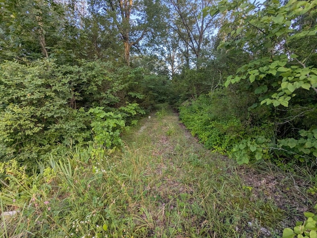 1511 Finley Beech Rd, Lewisburg, TN 37091
