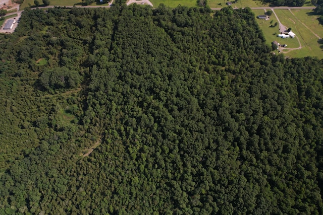 1511 Finley Beech Rd, Lewisburg, TN 37091