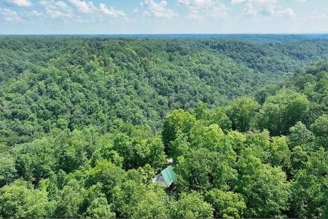 421 Alpine Dr, Smithville, TN 37166 - photo 40