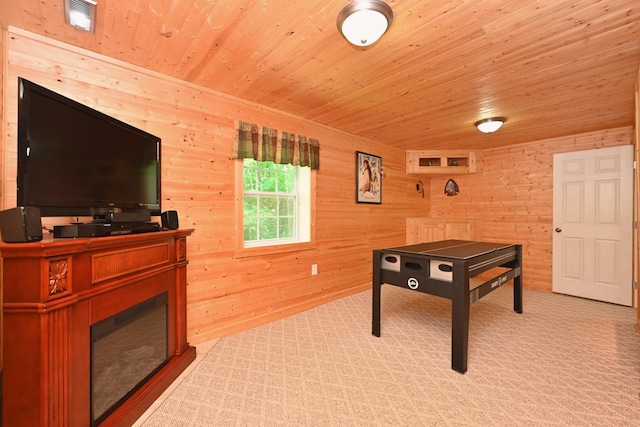 421 Alpine Dr, Smithville, TN 37166 - photo 30