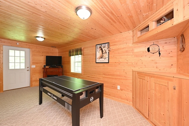 421 Alpine Dr, Smithville, TN 37166 - photo 31
