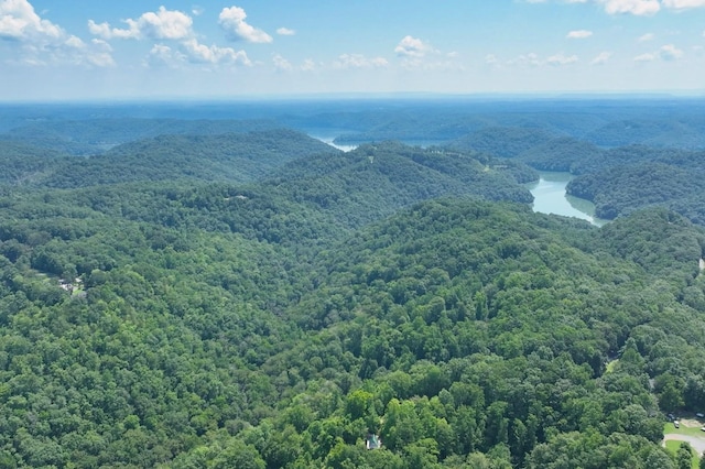 421 Alpine Dr, Smithville, TN 37166 - photo 41
