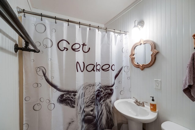 1532 Santa Fe Pike, Columbia, TN 38401 - full bathroom with a shower with shower curtain and ornamental molding