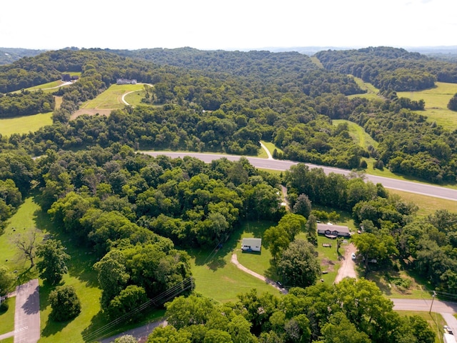 1532 Santa Fe Pike, Columbia, TN 38401 - bird's eye view