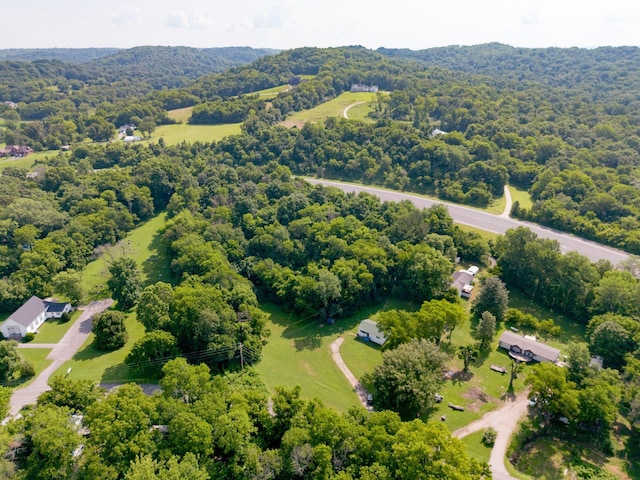 1532 Santa Fe Pike, Columbia, TN 38401 - drone / aerial view of a forest