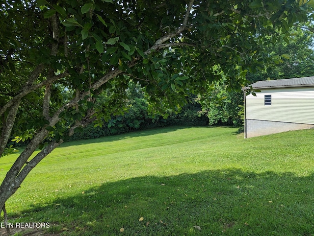 147 Evans Rd, Greenback, TN 37742 - photo 27